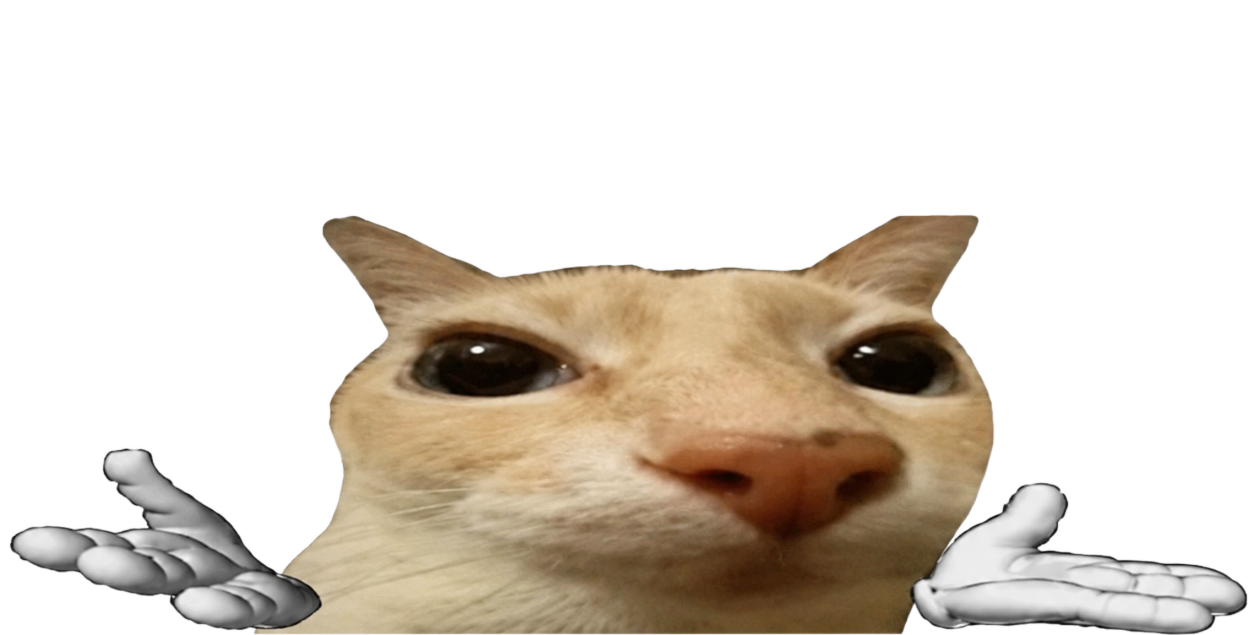 Confused cat choosing badly